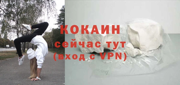 2c-b Богородицк