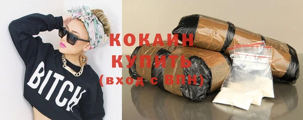 2c-b Богородицк