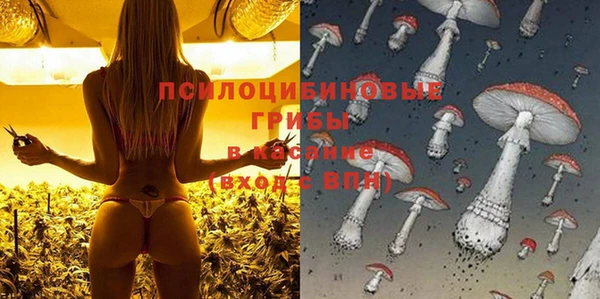 круглые Богданович